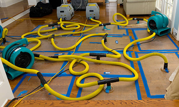 Professional Crawl Space Water Removal technician working in West Sunbury, PA